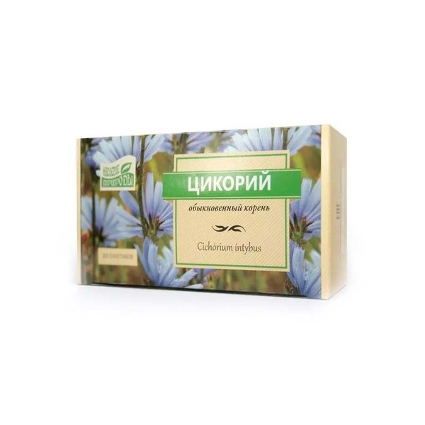 Фото Цикория В Природе