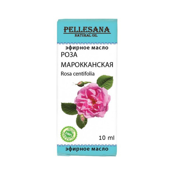 Роза Сана Фото